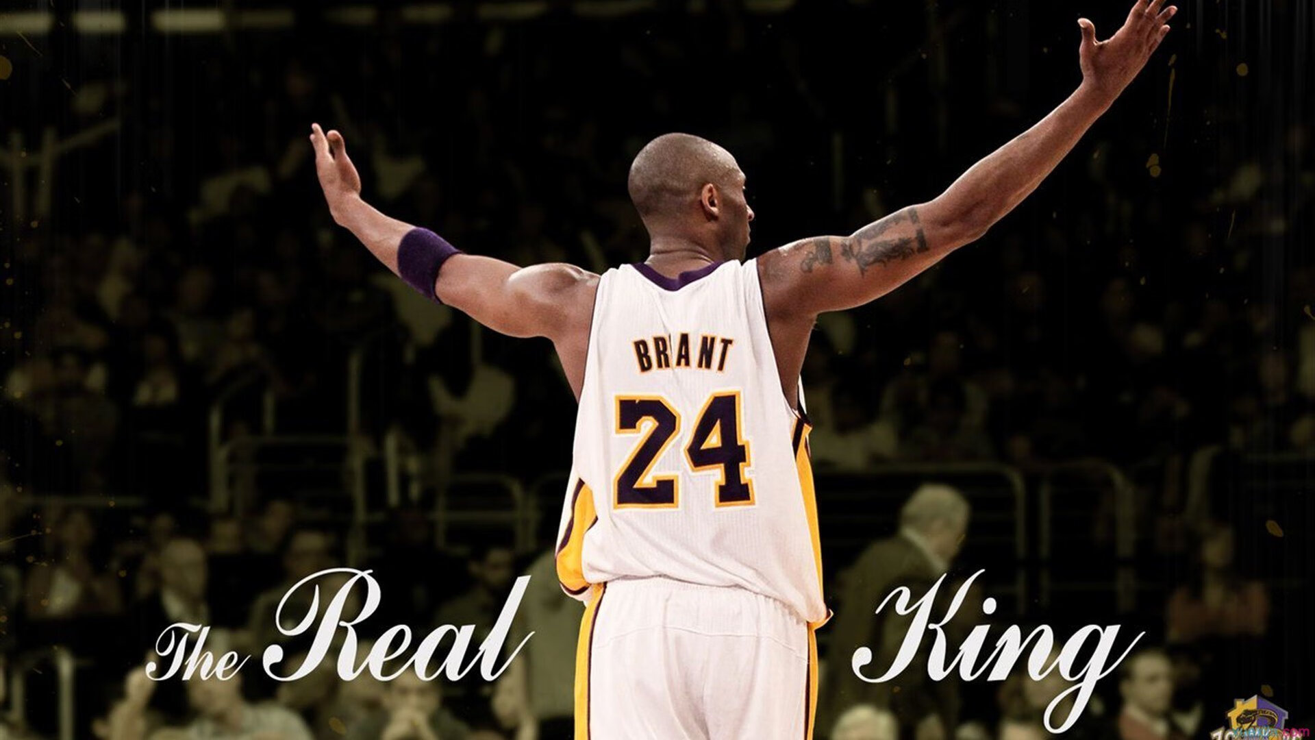 世界杯史诗决战：瞬间战术与个人能力的完美结合，世界杯之战