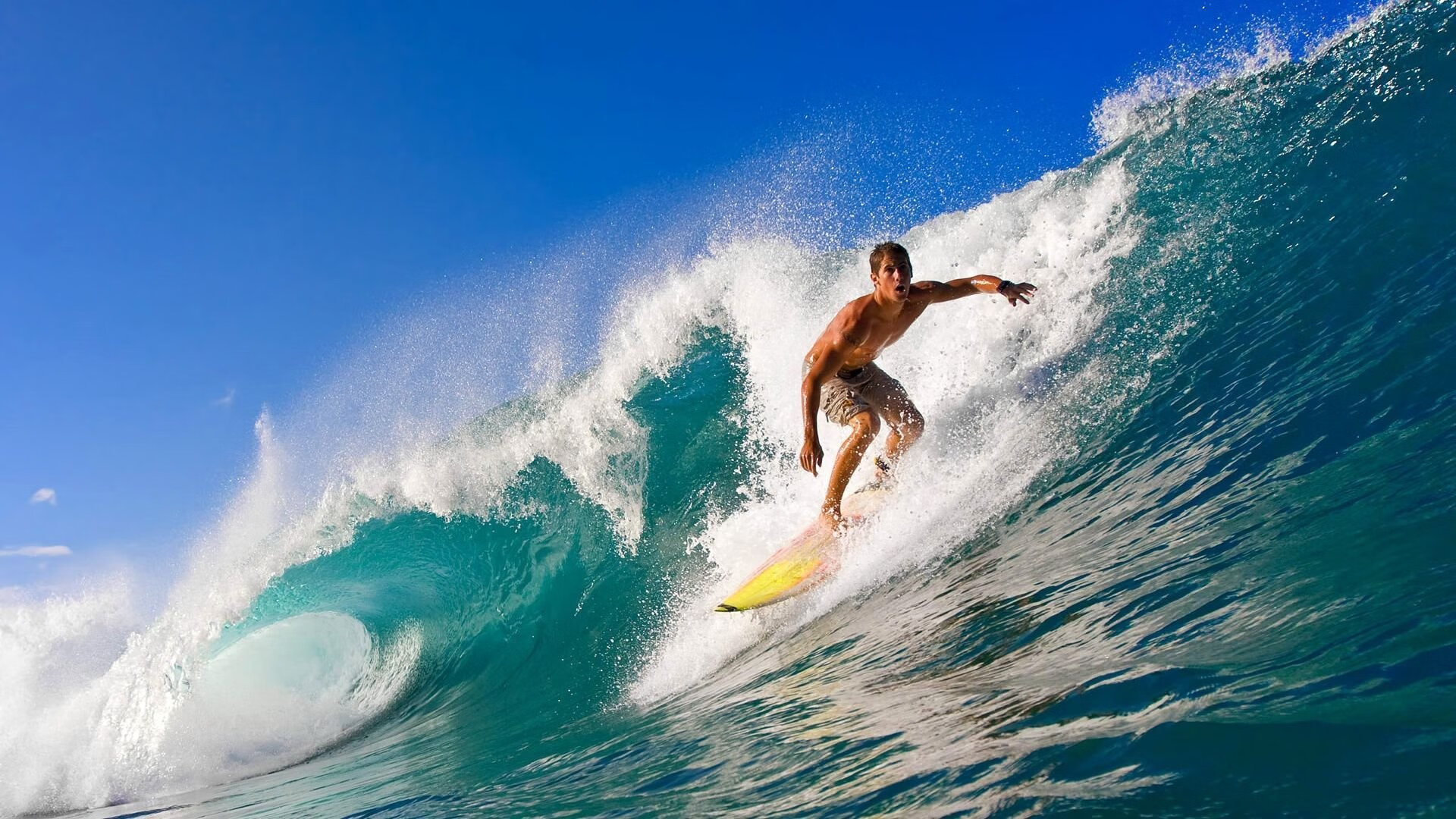 青训学院增设文化课程强化学生综合素养建设