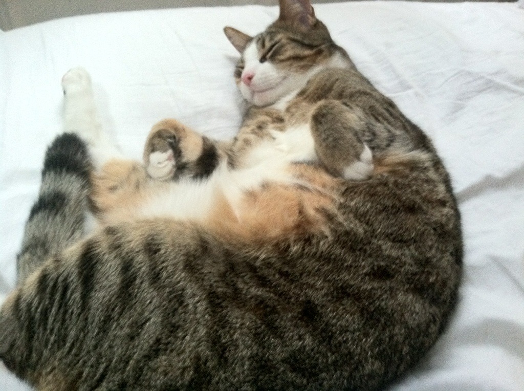 托蒂退役后，意甲传奇逐渐淡出赛场，意大利球星托蒂现状